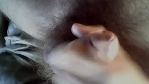 Snapshot of baghiraa chatting on September 27, 2025, 8:30 am Baghira online show from September 27, 2025, 8:30 am