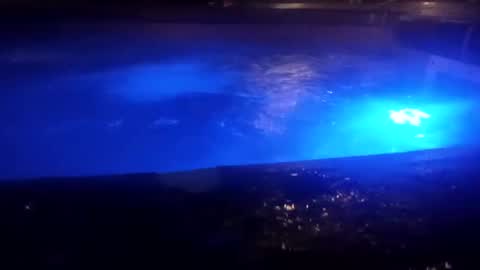 Snapshot of bakerbeachismygig chatting on December 9, 2024, 4:45 am bakerbeachismygig online show from December 9, 2024, 4:45 am