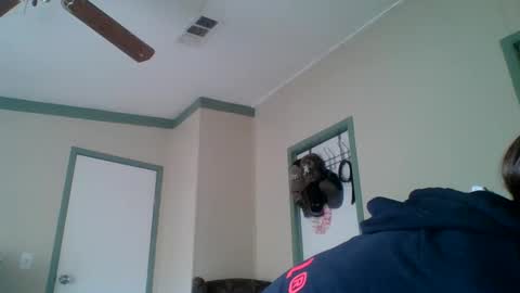 bamacpl80 online show from December 27, 2024, 5:26 pm