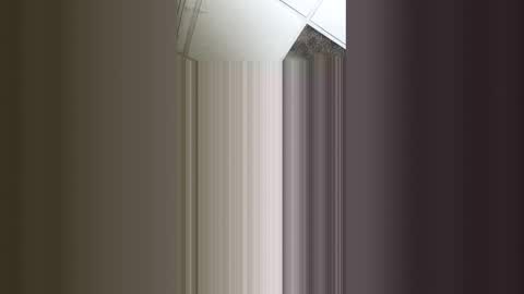 bamberstar75 online show from December 21, 2025, 11:56 pm