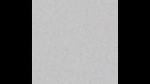 BarbieLituam online show from January 2, 2025, 2:24 pm