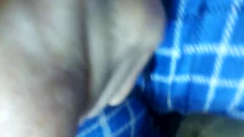 barbitall online show from November 15, 2025, 3:08 pm