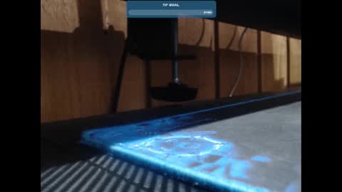 Ricky online show from January 17, 2025, 2:28 pm