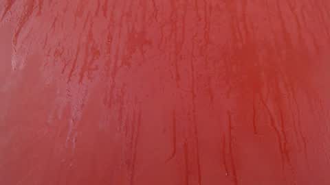 bayonette_black online show from November 30, 2025, 7:07 pm