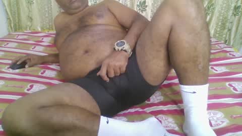 Snapshot of beargryzzly chatting on December 15, 2024, 3:56 am Grizzly online show from December 15, 2024, 3:56 am