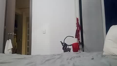 Snapshot of becky2994 chatting on November 20, 2025, 8:03 am BECKY BOO online show from November 20, 2025, 8:03 am