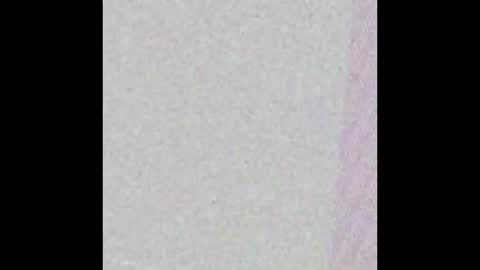 Snapshot of bedstuymonstercock90 chatting on November 1, 2025, 7:49 pm hungnheavy online show from November 1, 2025, 7:49 pm