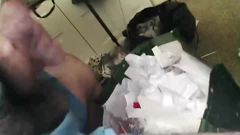 beenallover92 online show from January 22, 2025, 2:03 pm