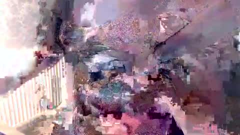      online show from December 5, 2024, 8:11 am