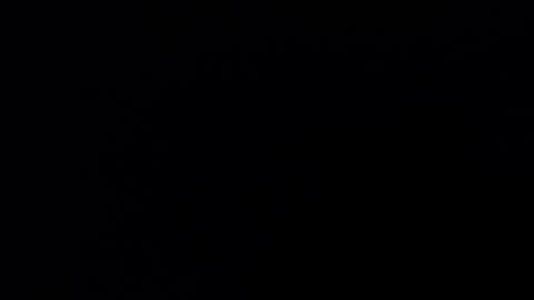 Bella online show from December 3, 2025, 2:04 pm