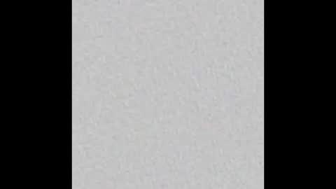 bellamwah online show from December 21, 2025, 7:48 am