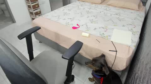 Bella  Angelycal online show from February 20, 2025, 10:26 pm