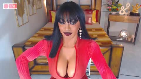 Snapshot of bellatrixxhuckerts chatting on March 3, 2025, 4:36 am B E L L A T R I X online show from March 3, 2025, 4:36 am