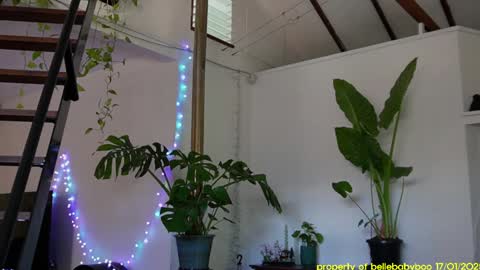 BELLE   online show from January 18, 2025, 4:48 am