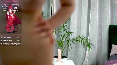 Belle online show from February 12, 2025, 11:29 am