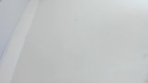 Bellota Flak online show from December 15, 2025, 5:55 am