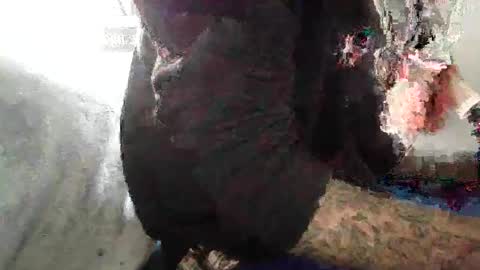 Snapshot of bertdollaz757 chatting on November 4, 2025, 3:55 pm ToxicPipe757 online show from November 4, 2025, 3:55 pm