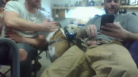 bicboy007 online show from March 8, 2025, 2:34 am