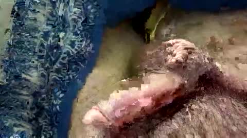 Snapshot of big88385909 chatting on November 20, 2025, 12:44 am big88385909 online show from November 20, 2025, 12:44 am