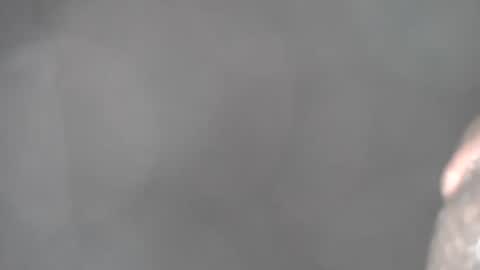 Snapshot of bigbbc97454 chatting on January 24, 2025, 12:10 pm bigbbc97454 online show from January 24, 2025, 12:10 pm