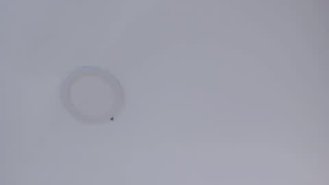 Snapshot of bigboobsnaughty1 chatting on October 16, 2025, 9:10 am online show from October 16, 2025, 9:10 am