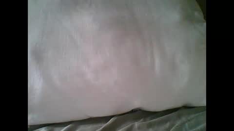 Snapshot of bigbravo337 chatting on November 22, 2025, 2:27 pm bigbravo337 online show from November 22, 2025, 2:27 pm