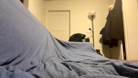 Buster685 online show from November 19, 2025, 7:08 am