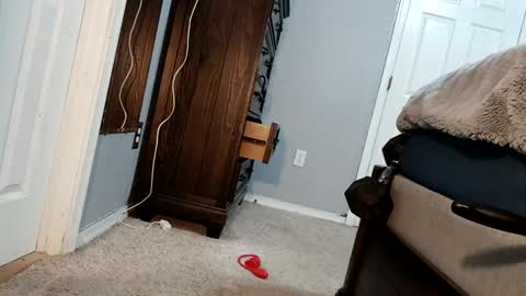 bigcockdaddy247 online show from December 17, 2024, 5:07 am