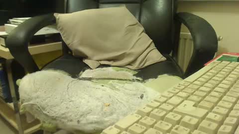 Snapshot of bigcurve chatting on January 30, 2025, 8:21 pm bigcurve online show from January 30, 2025, 8:21 pm