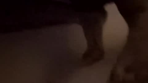 Snapshot of bigd12345678897020 chatting on November 1, 2025, 1:51 am bigd12345678897020 online show from November 1, 2025, 1:51 am