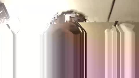 Snapshot of bigdaddy1988_ chatting on November 3, 2025, 6:14 am Big Daddy 1988 S online show from November 3, 2025, 6:14 am