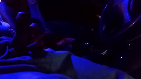 Snapshot of bigdiccbrannn chatting on February 9, 2025, 12:52 pm bigdiccbrannn online show from February 9, 2025, 12:52 pm