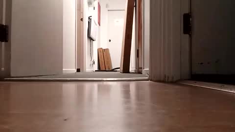 Snapshot of bigdiccbrannn chatting on November 5, 2025, 10:15 am bigdiccbrannn online show from November 5, 2025, 10:15 am