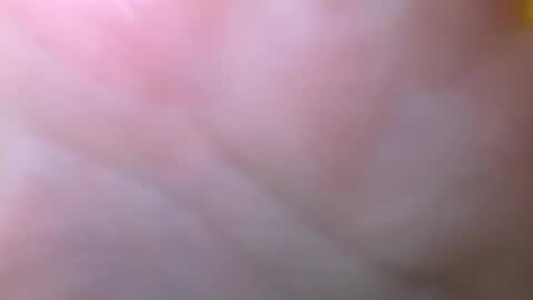 Snapshot of bigdickitalian137 chatting on September 29, 2025, 8:35 pm bigdickitalian137 online show from September 29, 2025, 8:35 pm