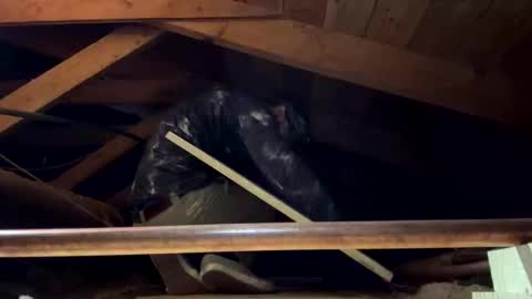 Snapshot of bigjim6646 chatting on September 21, 2025, 3:02 pm bigjim6646 online show from September 21, 2025, 3:02 pm