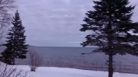 Snapshot of bigthicksatisfying2 chatting on March 12, 2025, 7:49 pm bigthicksatisfying2 online show from March 12, 2025, 7:49 pm