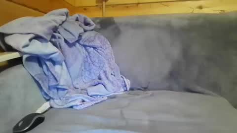 Snapshot of bik40 chatting on December 27, 2024, 10:59 pm bik40 online show from December 27, 2024, 10:59 pm