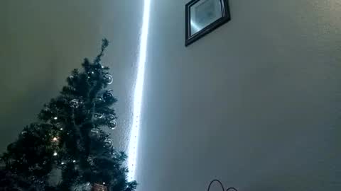 Snapshot of bilmapiedradura chatting on January 6, 2025, 10:24 am Bill online show from January 6, 2025, 10:24 am