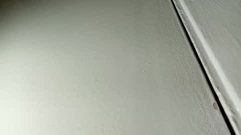 Snapshot of bilmapiedradura chatting on January 19, 2025, 7:36 am Bill online show from January 19, 2025, 7:36 am