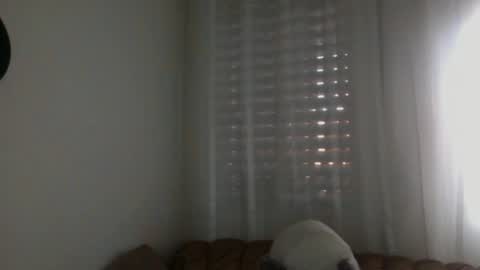 Snapshot of bilmapiedradura chatting on February 16, 2025, 7:59 am Bill online show from February 16, 2025, 7:59 am