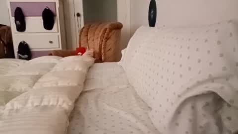 Snapshot of bilmapiedradura chatting on September 19, 2025, 8:05 am Bill online show from September 19, 2025, 8:05 am