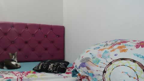 Snapshot of bitch_mommy_x chatting on January 26, 2025, 12:22 pm I am everything. Your highness queen goddess mistress god daddy mommy boss master. you will address me as such online show from January 26, 2025, 12:22 pm