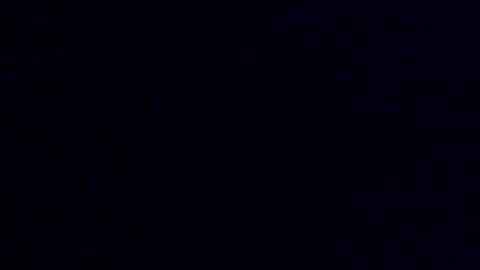 Crystal online show from January 20, 2025, 1:32 pm