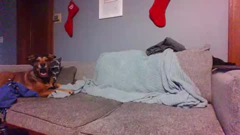 Snapshot of blaw_1321 chatting on December 30, 2024, 8:36 pm blaw_1321 online show from December 30, 2024, 8:36 pm