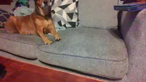 Snapshot of blaw_1321 chatting on November 14, 2025, 8:57 am blaw_1321 online show from November 14, 2025, 8:57 am