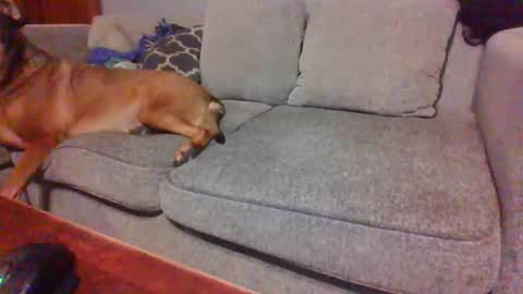 Snapshot of blaw_1321 chatting on November 23, 2025, 9:47 pm blaw_1321 online show from November 23, 2025, 9:47 pm