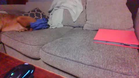 Snapshot of blaw_1321 chatting on December 1, 2025, 2:05 am blaw_1321 online show from December 1, 2025, 2:05 am