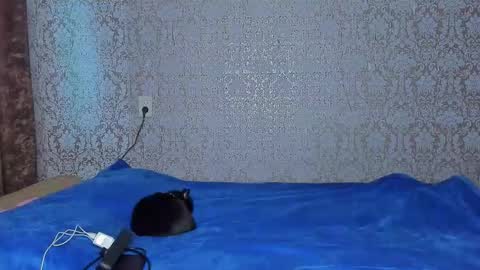 bloemetjes online show from October 24, 2025, 5:04 am