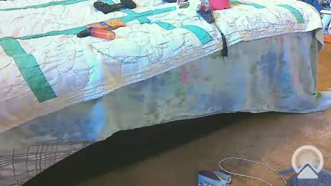 Snapshot of blondieblu89 chatting on February 20, 2025, 2:24 pm First Time College Boy online show from February 20, 2025, 2:24 pm