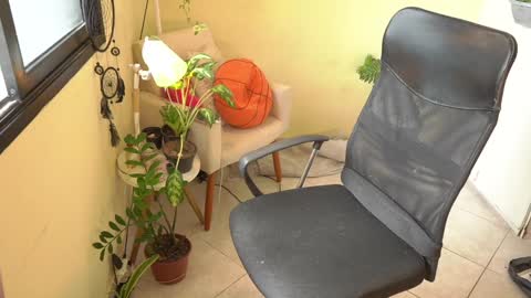 Snapshot of bluemysticlady chatting on January 15, 2025, 4:43 pm FLORAA online show from January 15, 2025, 4:43 pm